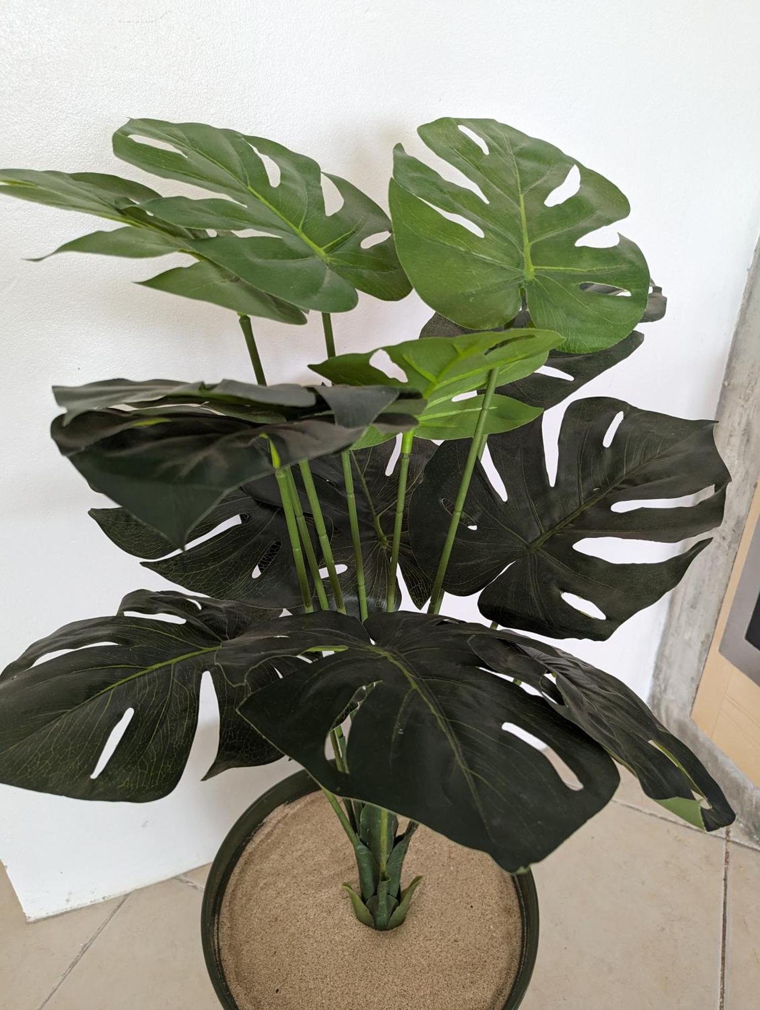Tropical Leaves Sea View Penthouse Ca Greta 2 Floor Apartment Sal Rei Exterior foto